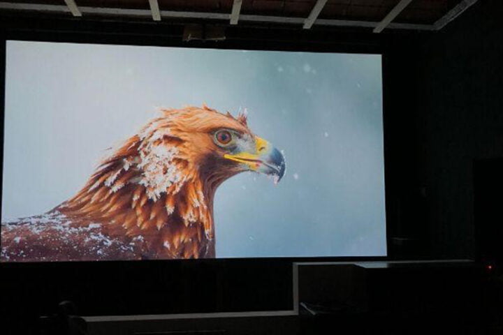 Projektor Leinwand Leinwandfarbe Kontrast projektionen