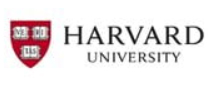 logo-8
